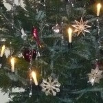 baum3