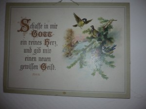 sprüche