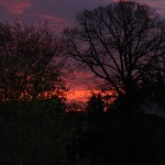 Winter 025