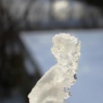 eismädchen