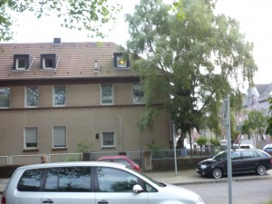Freie Dachkammer Lirich